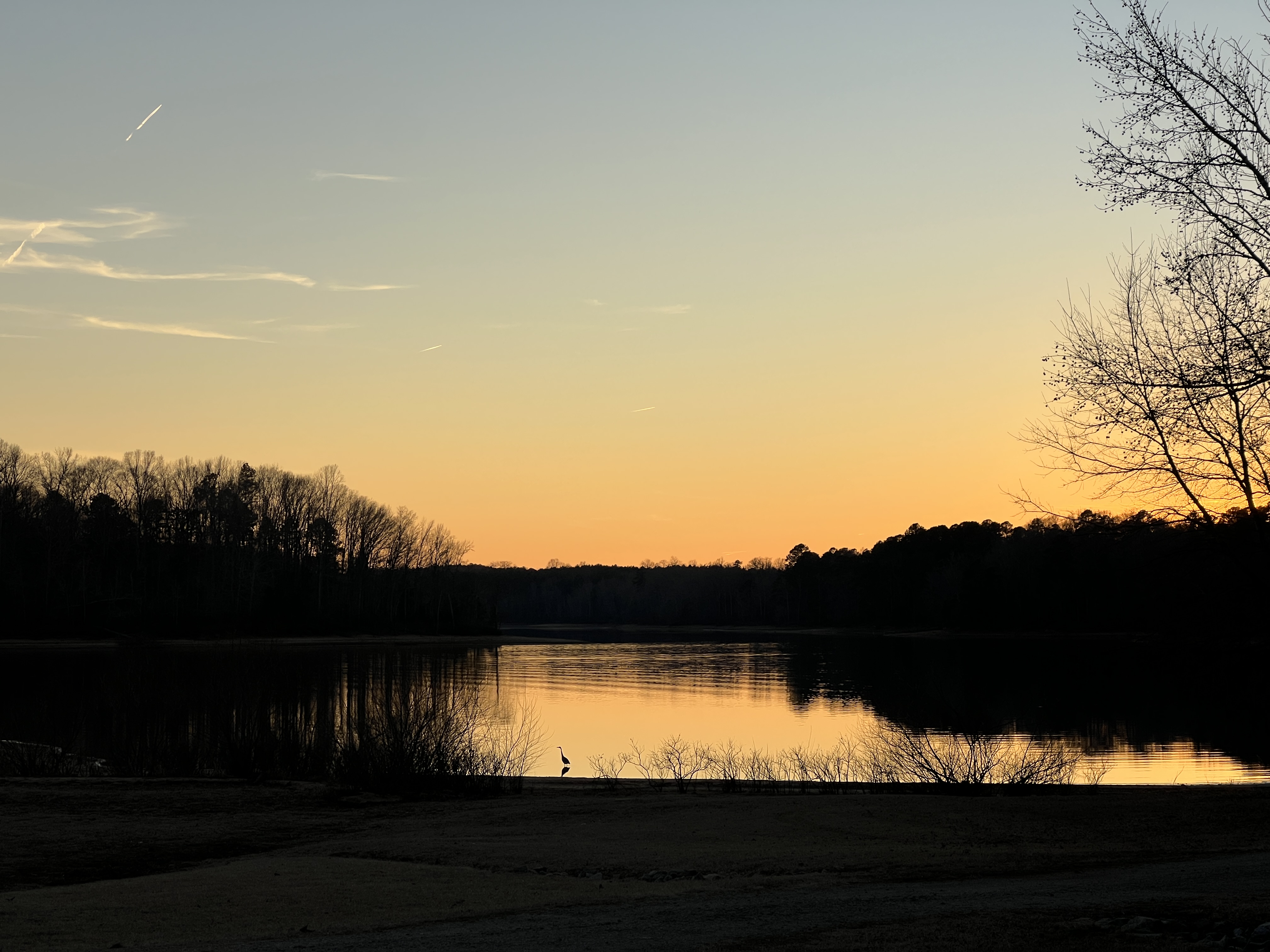 ./2026/01 - Nutbush Bridge/IMG_7972.JPG